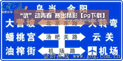 pg下载