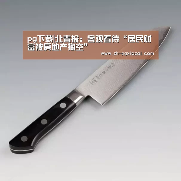 pg下载|北青报:客观看待“居民财富被房地产掏空”(图2) pg下载
