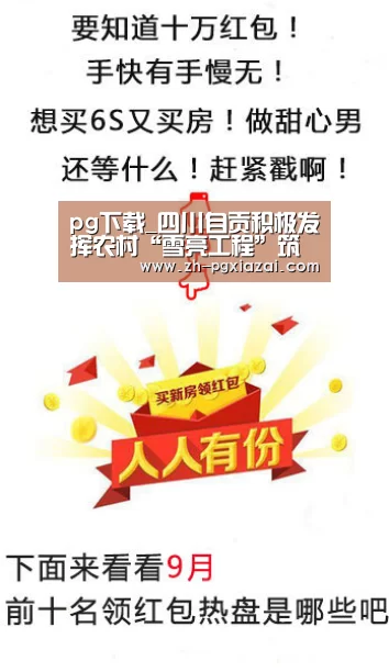 pg下载_四川自贡积极发挥农村“雪亮工程”筑牢防控堤坝(图1) pg下载