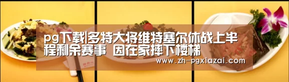 pg下载