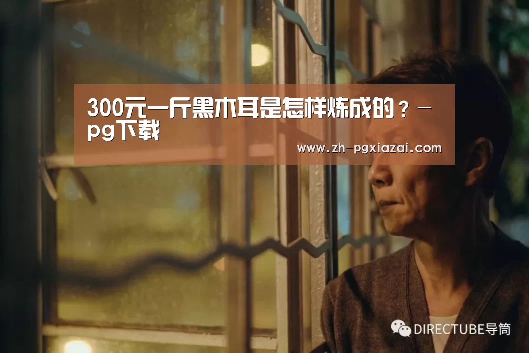 300元一斤黑木耳是怎样炼成的?-pg下载(图2) pg下载