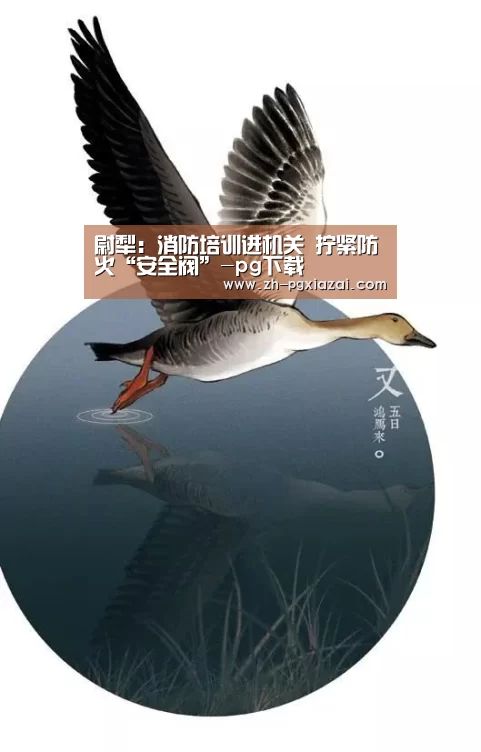 pg下载