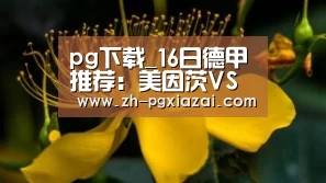 pg下载