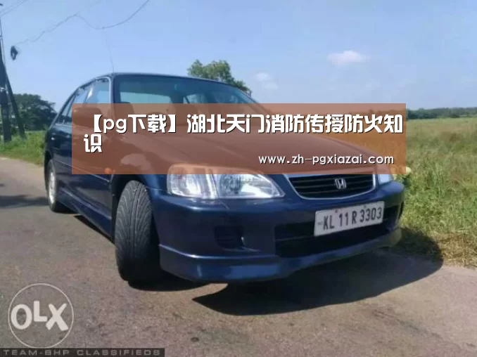 pg下载