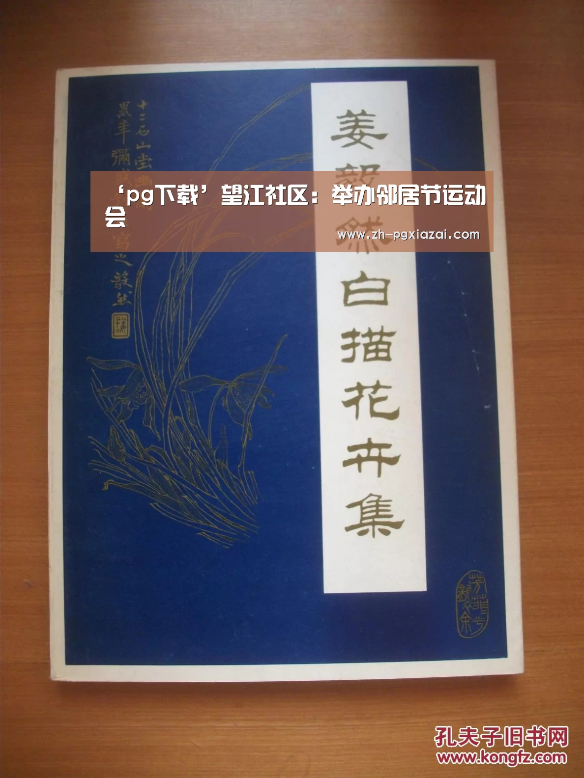 pg下载