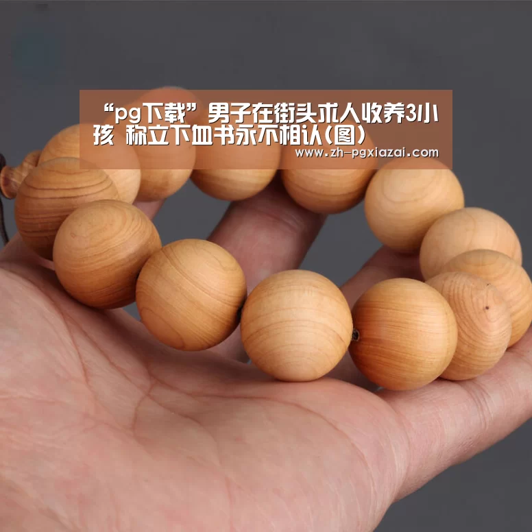 pg下载