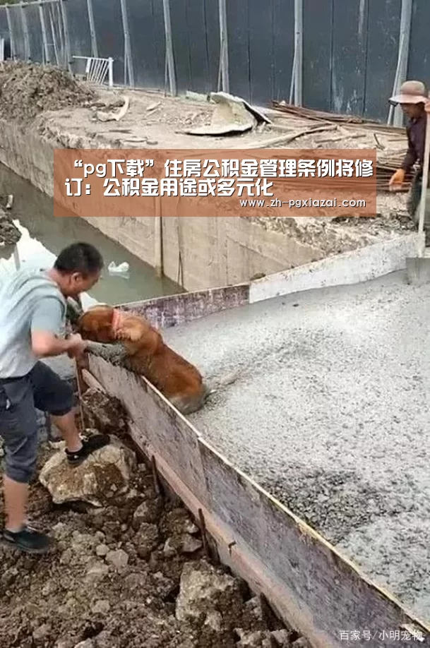 “pg下载”住房公积金管理条例将修订:公积金用途或多元化(图3) pg下载