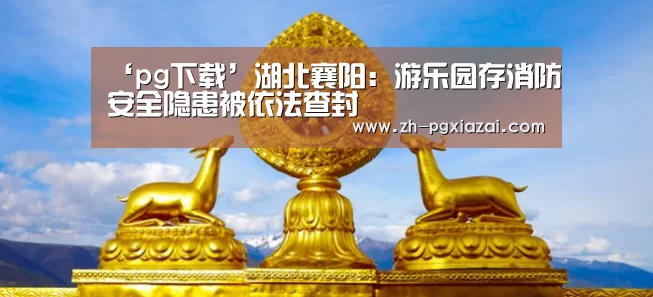 ‘pg下载’湖北襄阳:游乐园存消防安全隐患被依法查封(图2) pg下载