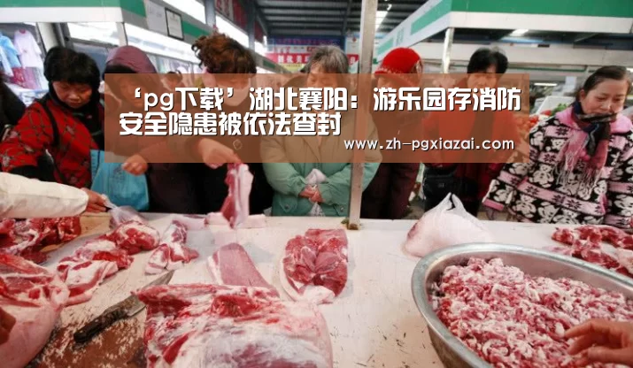‘pg下载’湖北襄阳:游乐园存消防安全隐患被依法查封(图1) pg下载