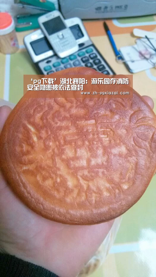 ‘pg下载’湖北襄阳:游乐园存消防安全隐患被依法查封(图3) pg下载