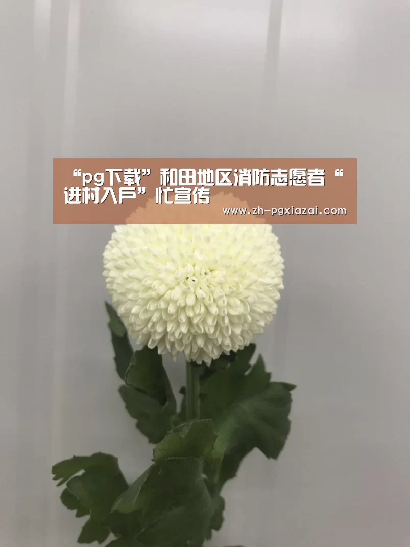 “pg下载”和田地区消防志愿者“进村入户”忙宣传(图1) pg下载