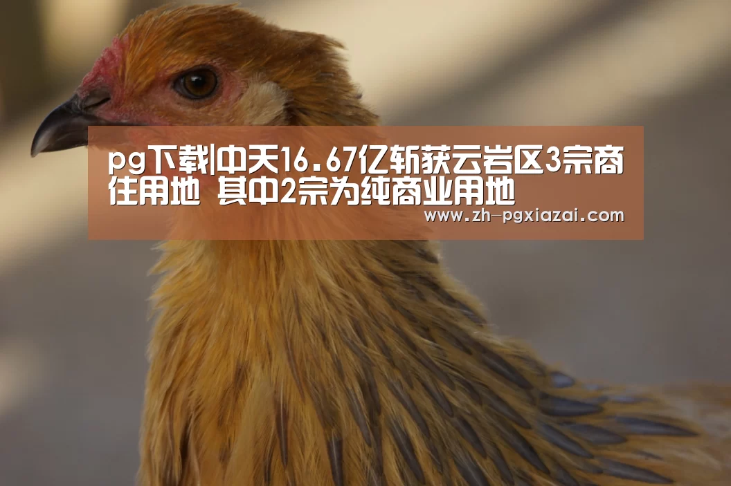 pg下载|中天16.67亿斩获云岩区3宗商住用地 其中2宗为纯商业用地(图3) pg下载