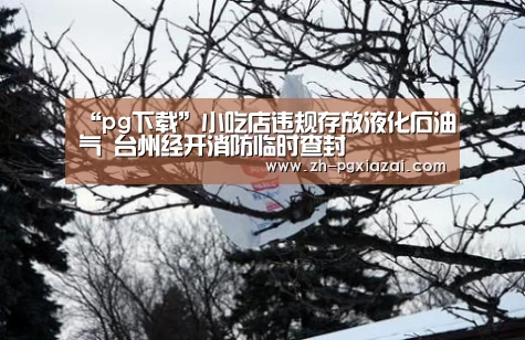 “pg下载”小吃店违规存放液化石油气 台州经开消防临时查封(图2) pg下载