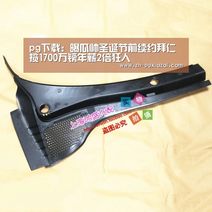pg下载