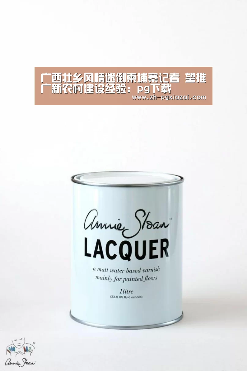 广西壮乡风情迷倒柬埔寨记者 望推广新农村建设经验:pg下载(图1) pg下载
