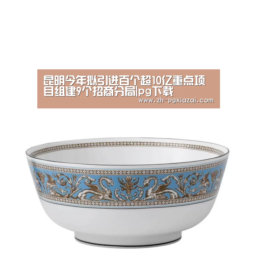 昆明今年拟引进百个超10亿重点项目组建9个招商分局|pg下载(图3) pg下载