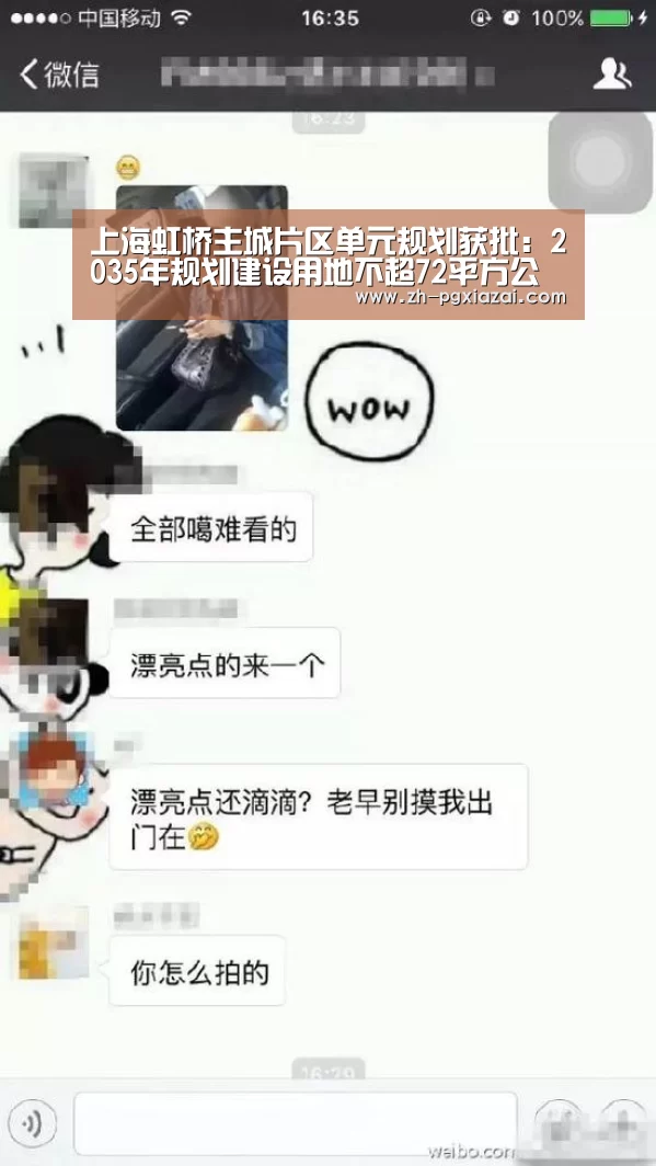 上海虹桥主城片区单元规划获批:2035年规划建设用地不超72平方公里|pg下载(图1) pg下载