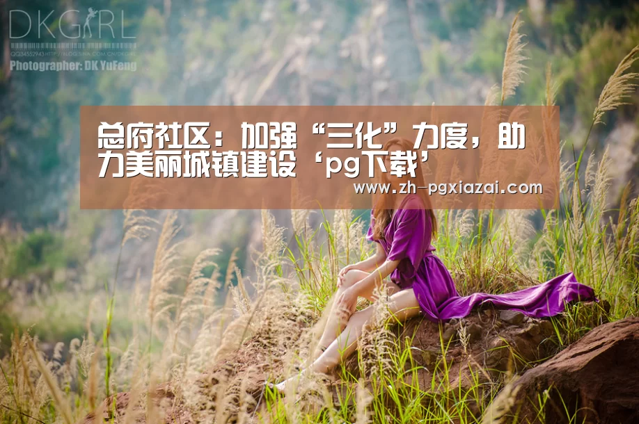 pg下载