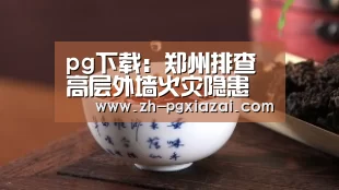 pg下载