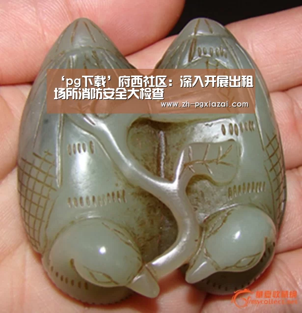 ‘pg下载’府西社区:深入开展出租场所消防安全大检查(图4) pg下载