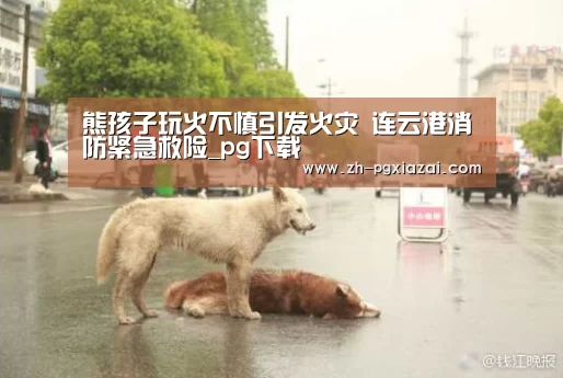 pg下载