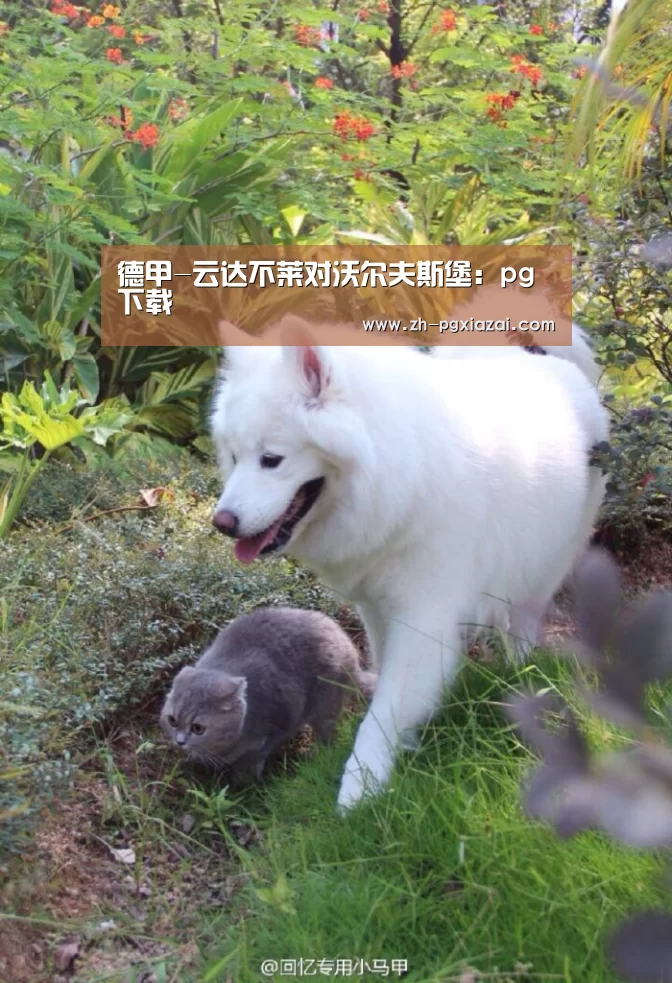 德甲-云达不莱对沃尔夫斯堡：pg下载