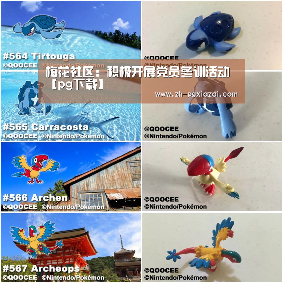 梅花社区:积极开展党员冬训活动【pg下载】(图2) pg下载